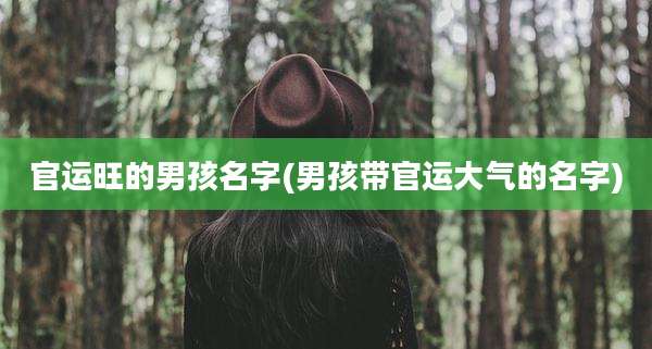 官运旺的男孩名字(男孩带官运大气的名字)