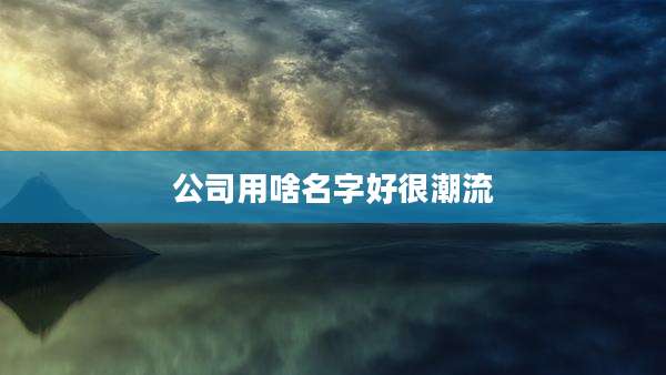 公司用啥名字好很潮流