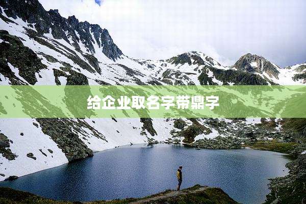 给企业取名字带鼎字