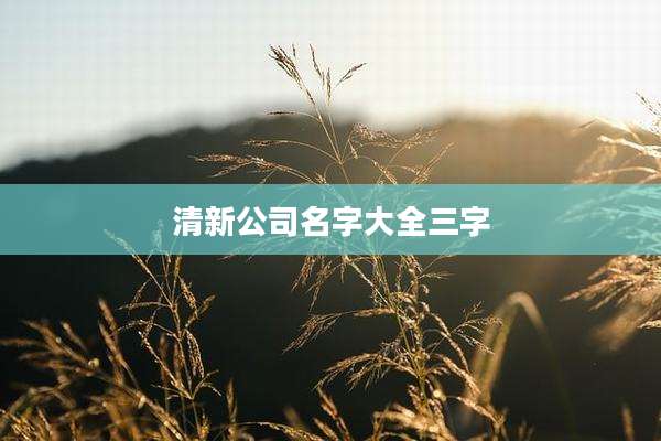 清新公司名字大全三字