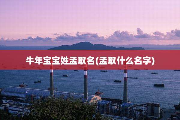 牛年宝宝姓孟取名(孟取什么名字)