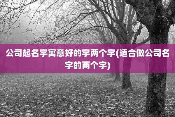 公司起名字寓意好的字两个字(适合做公司名字的两个字)
