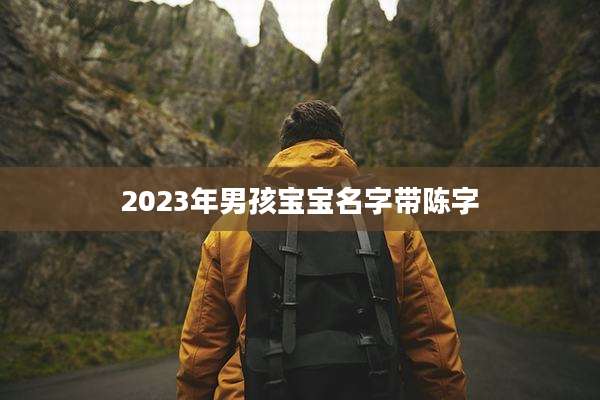 2023年男孩宝宝名字带陈字