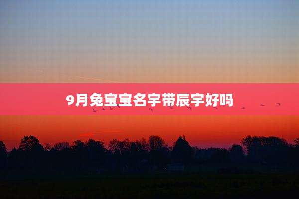 9月兔宝宝名字带辰字好吗