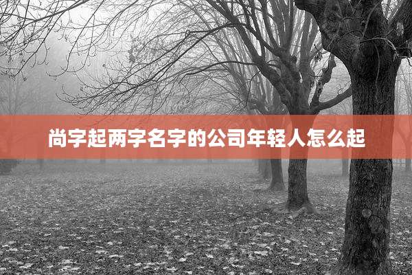尚字起两字名字的公司年轻人怎么起