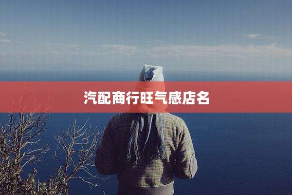 汽配商行旺气感店名