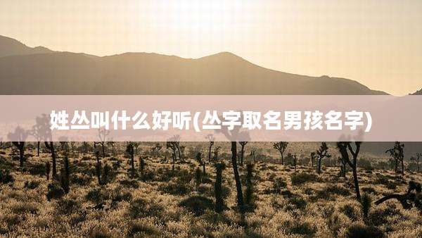 姓丛叫什么好听(丛字取名男孩名字)
