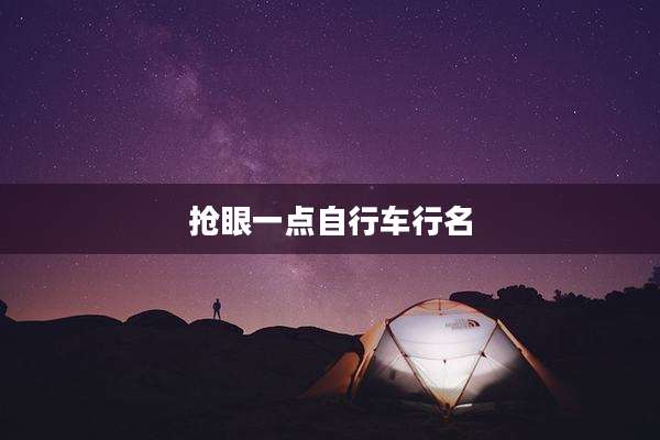 抢眼一点自行车行名
