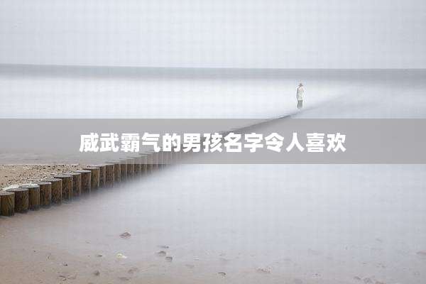 威武霸气的男孩名字令人喜欢