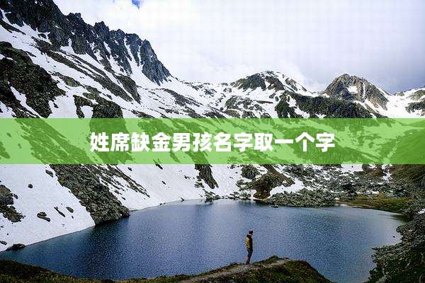 姓席缺金男孩名字取一个字