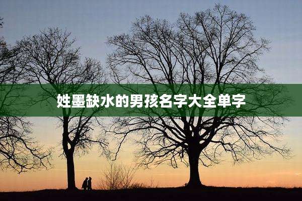 姓墨缺水的男孩名字大全单字