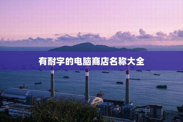 有耐字的电脑商店名称大全