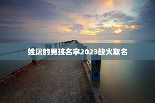 姓屠的男孩名字2023缺火取名