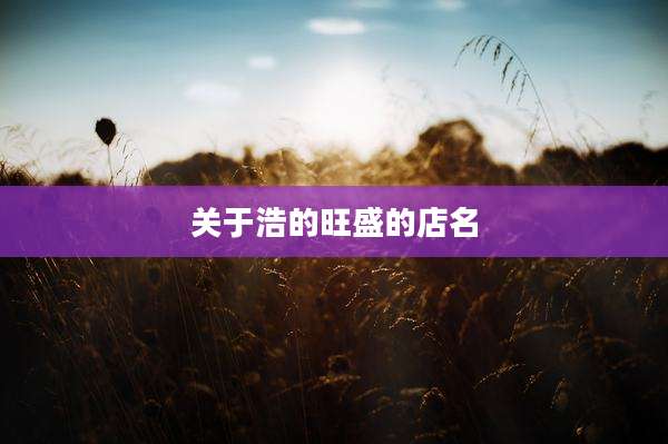 关于浩的旺盛的店名