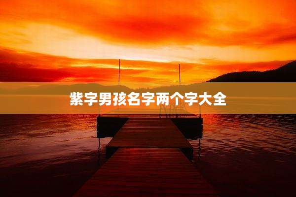 紫字男孩名字两个字大全