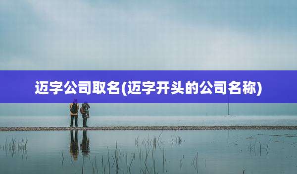 迈字公司取名(迈字开头的公司名称)