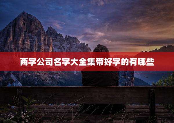 两字公司名字大全集带好字的有哪些