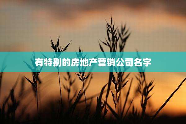 有特别的房地产营销公司名字
