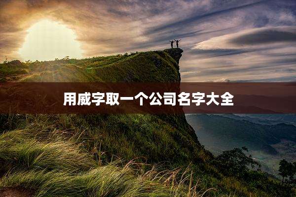 用威字取一个公司名字大全