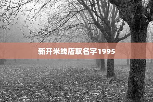 新开米线店取名字1995