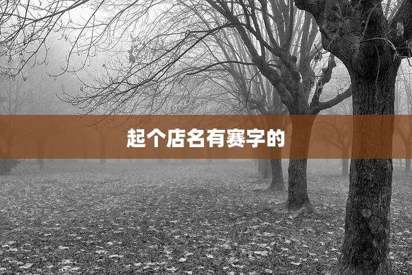 起个店名有赛字的