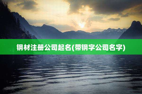 钢材注册公司起名(带钢字公司名字)