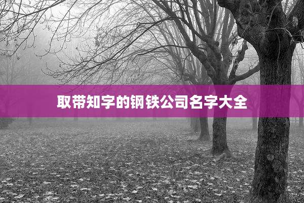 取带知字的钢铁公司名字大全