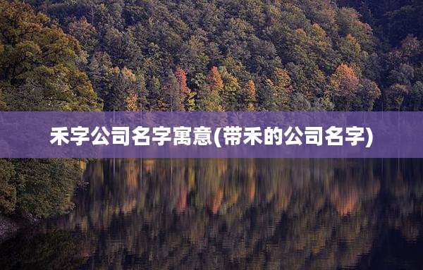 禾字公司名字寓意(带禾的公司名字)