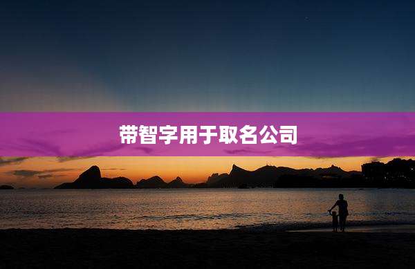带智字用于取名公司
