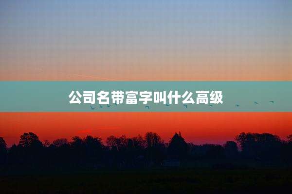公司名带富字叫什么高级