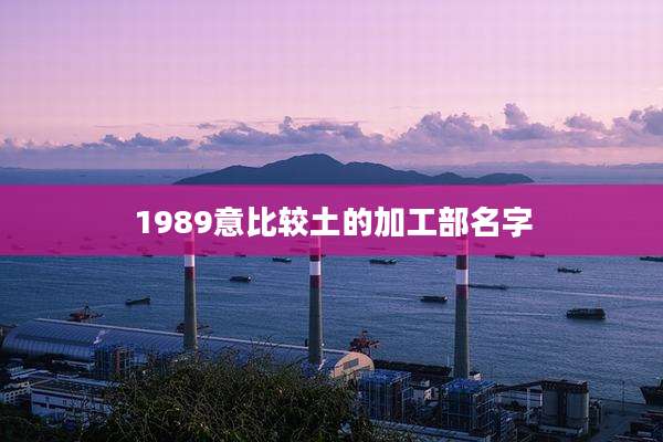 1989意比较土的加工部名字