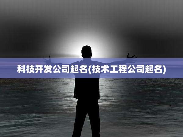 科技开发公司起名(技术工程公司起名)
