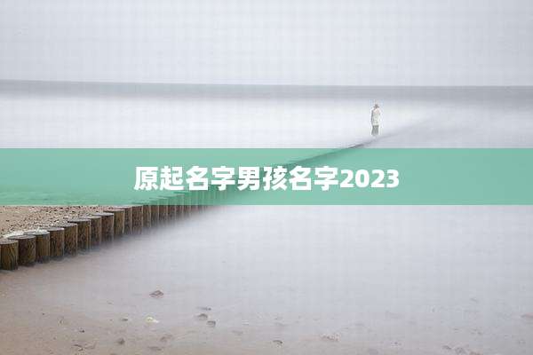 原起名字男孩名字2023