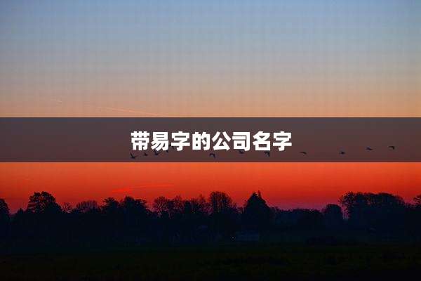 带易字的公司名字