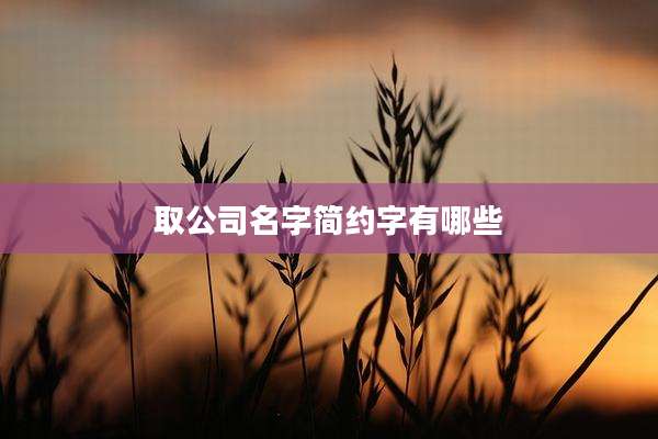 取公司名字简约字有哪些
