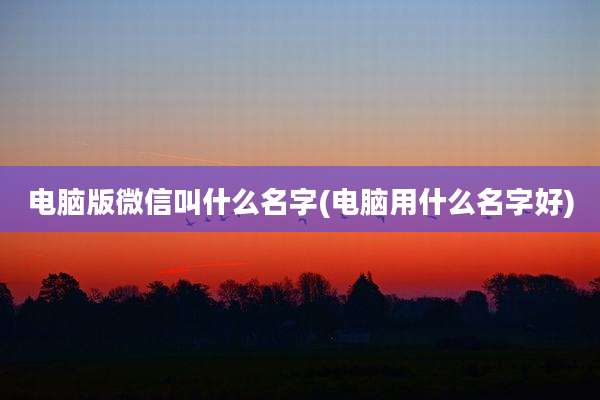 电脑版微信叫什么名字(电脑用什么名字好)