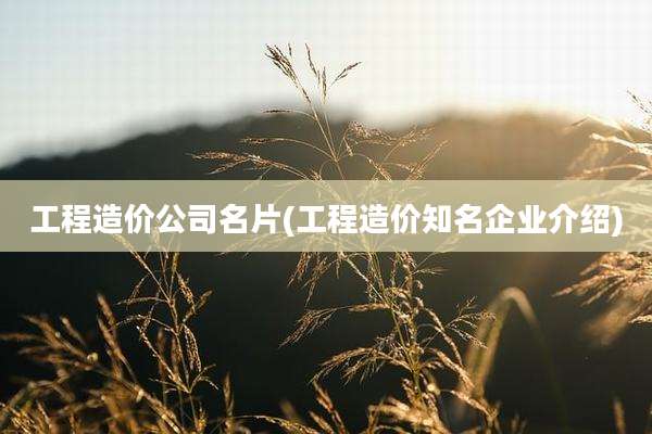 工程造价公司名片(工程造价知名企业介绍)