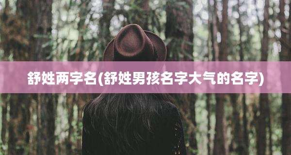 舒姓两字名(舒姓男孩名字大气的名字)