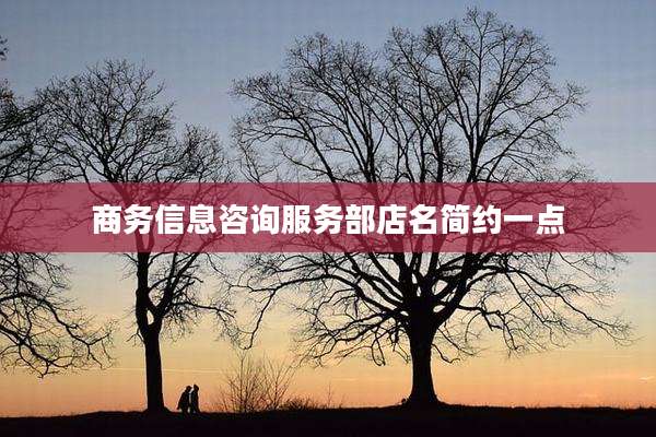 商务信息咨询服务部店名简约一点