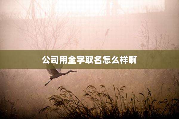 公司用全字取名怎么样啊