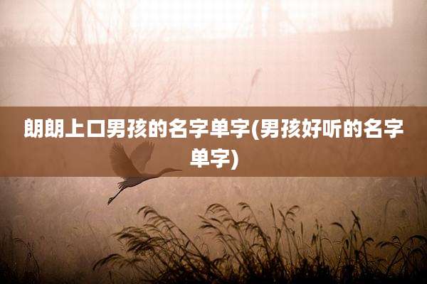 朗朗上口男孩的名字单字(男孩好听的名字单字)