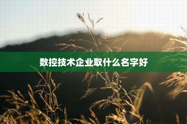 数控技术企业取什么名字好