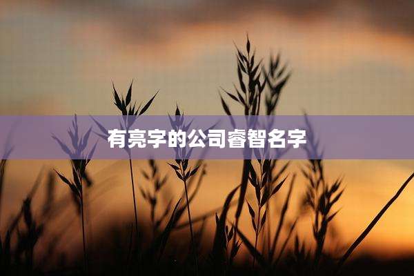 有亮字的公司睿智名字