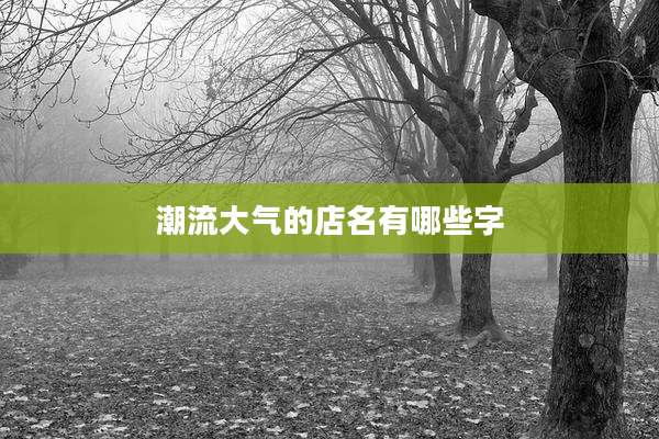潮流大气的店名有哪些字