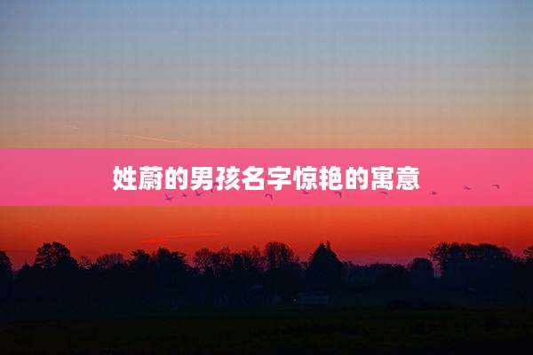 姓蔚的男孩名字惊艳的寓意