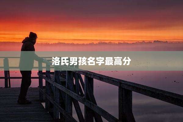 洛氏男孩名字最高分