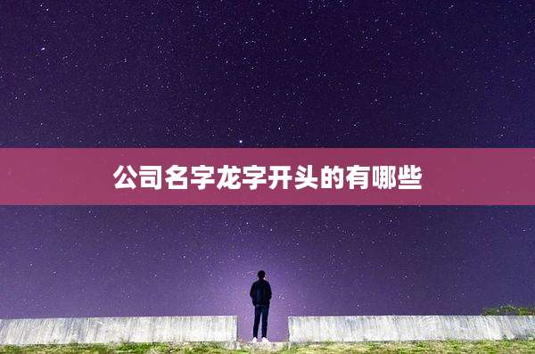 公司名字龙字开头的有哪些
