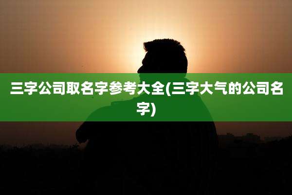 三字公司取名字参考大全(三字大气的公司名字)