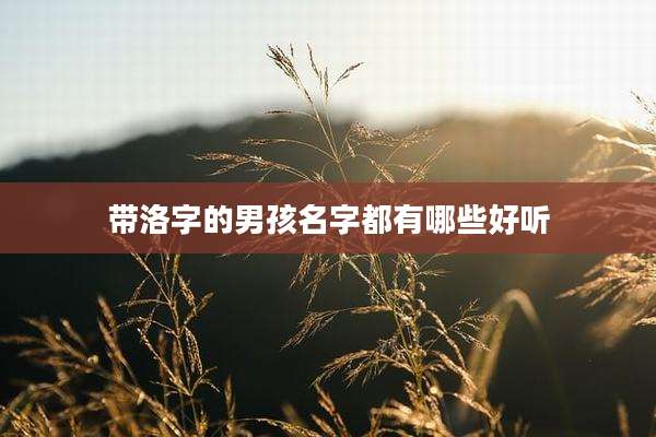 带洛字的男孩名字都有哪些好听