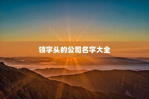 领字头的公司名字大全